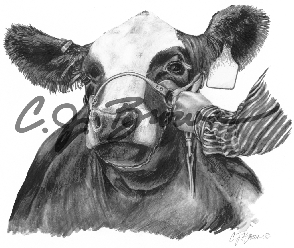 Blazed Halter Power II