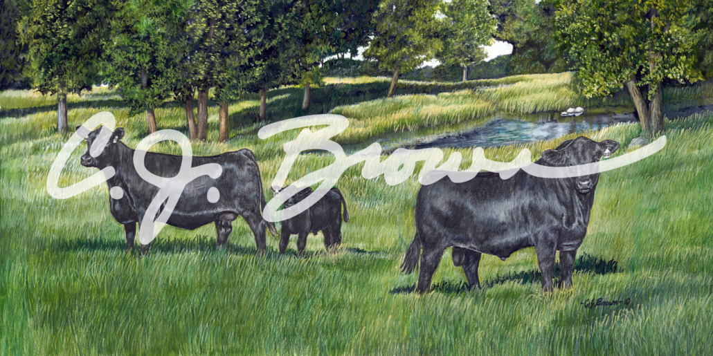 GRANDEUR-IN-THE-GROVEweb
