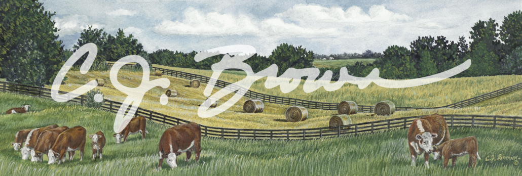 Haybales and herefords final