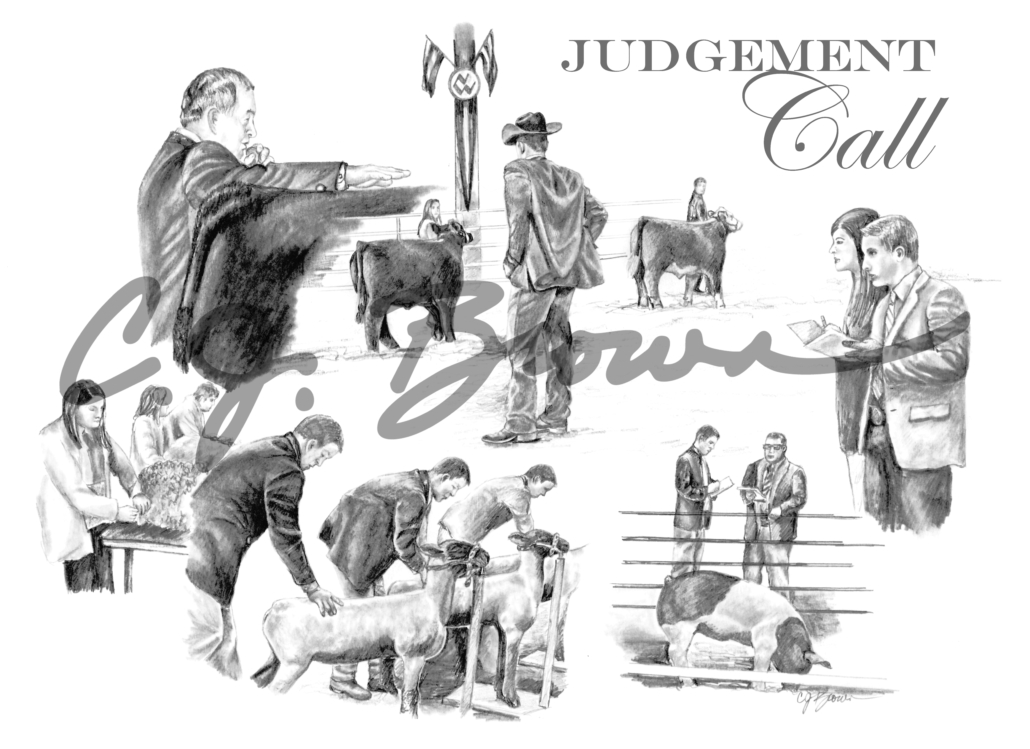 Judgement Call