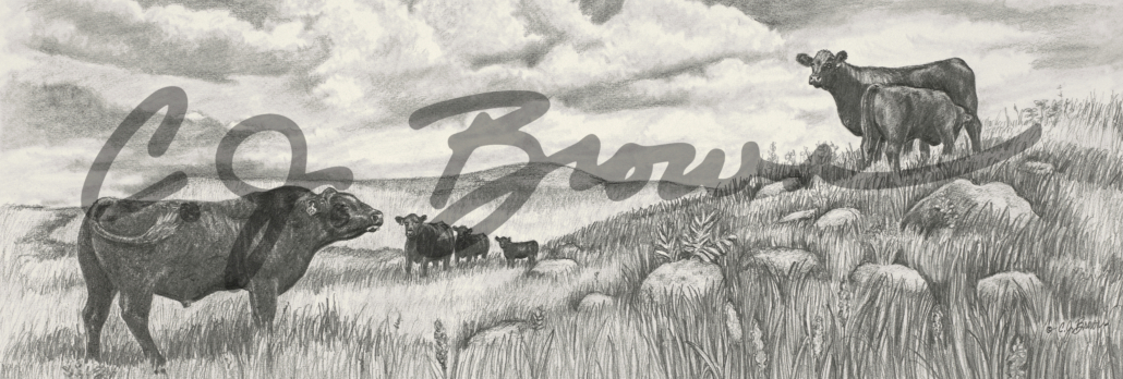 Serenade on th Flint Hills