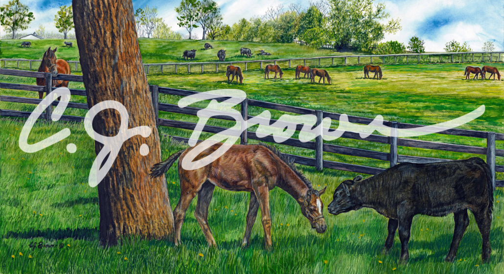 bluegrass-babies-1web