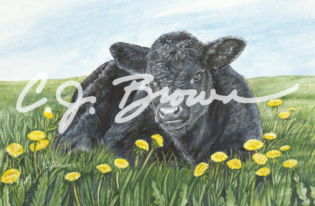 lyin in the dandelions