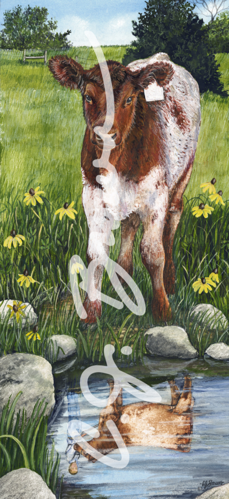red neck roan reflections