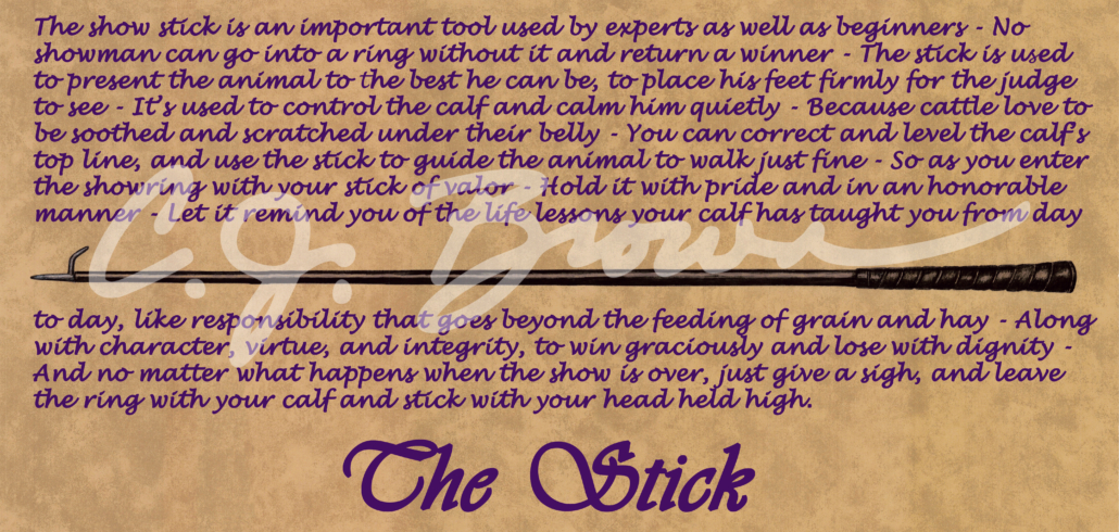 the stick